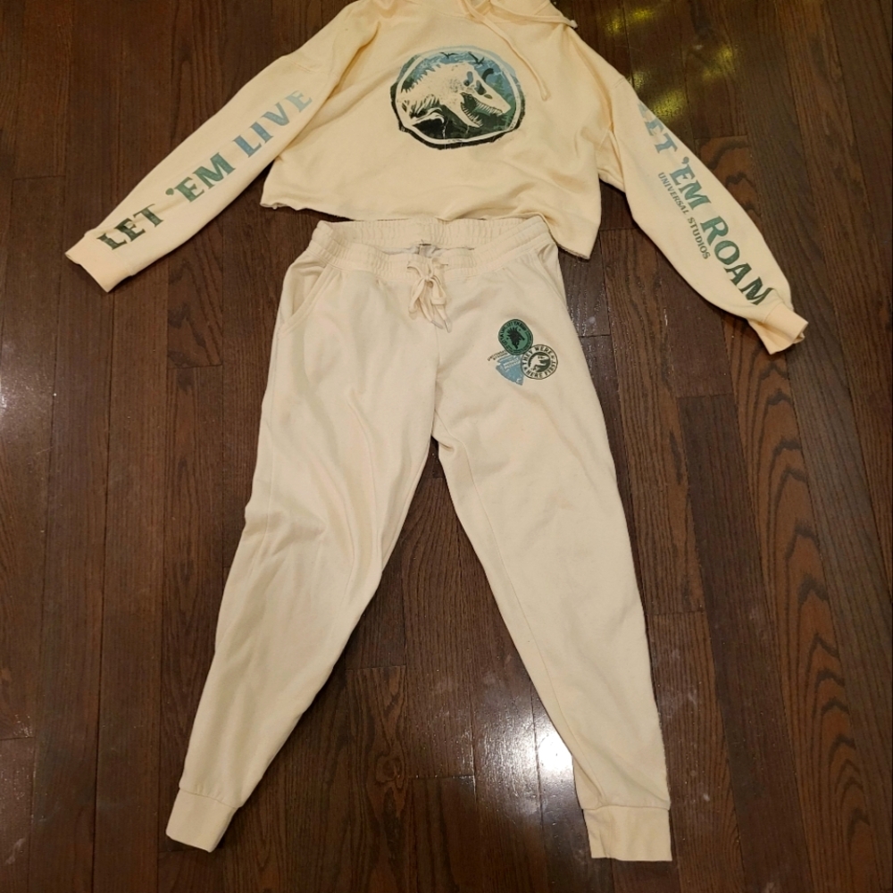 Universal Studios "Jurrastic World" cropped sweatshirt